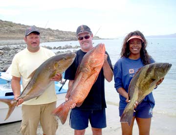 La Paz Mexico Mixed Species Fishing Photo 1