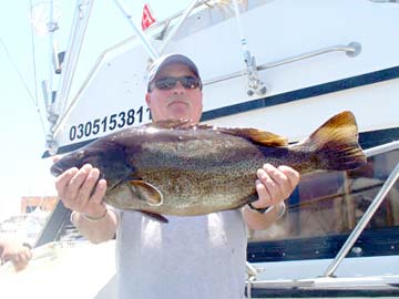 Cabrilla caught at Cabo San Lucas, Mexico.