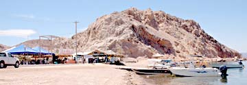 Yellowtail Shootout Fishing Tournament at Isla San Marcos, Mexico, photo 1.