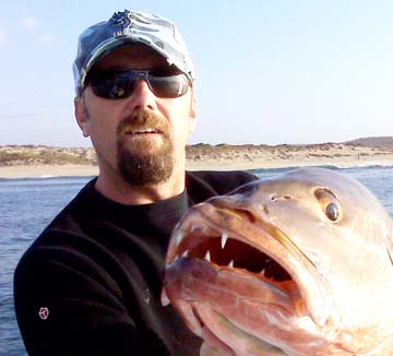 Dog snapper close-up at Los Cabos, Mexico.