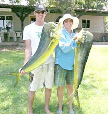 Mahi mahi caught in fishing at Loreto, Mexico.