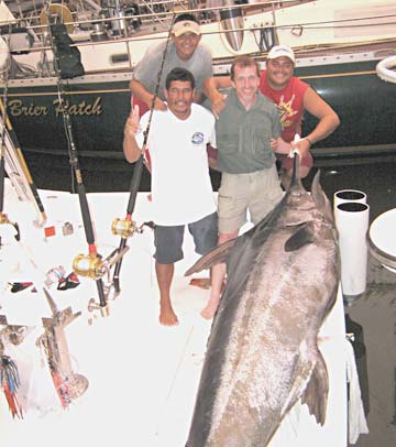 Blue marlin caught in fishing at Puerto Vallarta, Mexico.