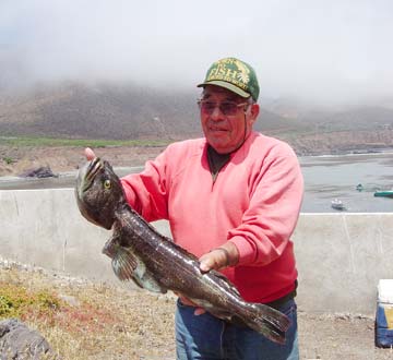 Lingcod fishing at Puerto Santo Tomas, Mexico.