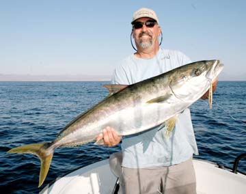 Yellowtail fishing at Santa Rosalia, Mexico.