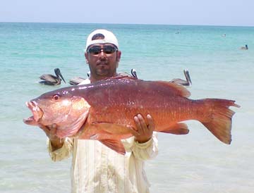 Snapper fishing at La Paz, Mexico.