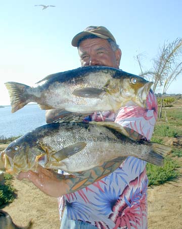 Fishing Captain Juan Cook at San Quintin, Mexico.