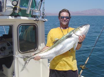 Yellowtail fishing at Bahia de los Angeles, Mexico.