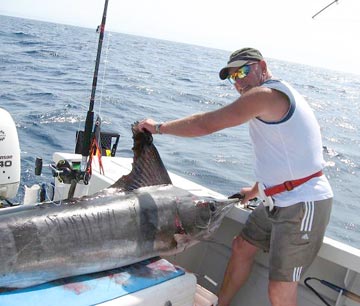 Marlin fishing at Isla San Marcos, Mexico.