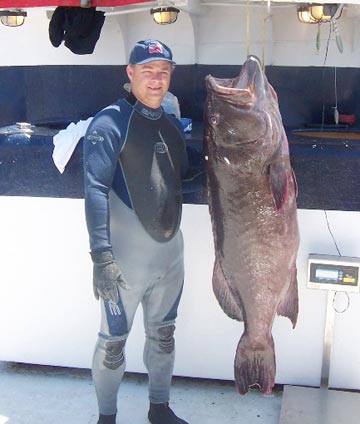 Sea of Cortez, Mexico spear fishing photo