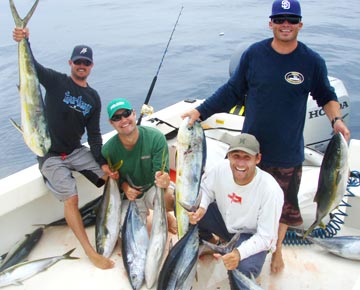 Albacore fishing, Baja California, Mexico.