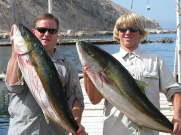 Yellowtail fishing at Santa Rosalia, Mexico.