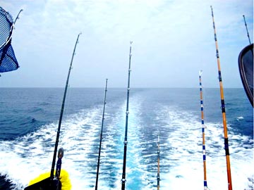 Offshore fishing Baja California, Mexico. 1