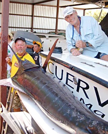 Blue marlin fishing at Loreto, Mexico. 1