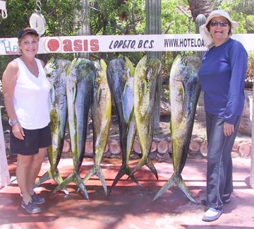 Dorado fishing at Loreto, Mexico. 1