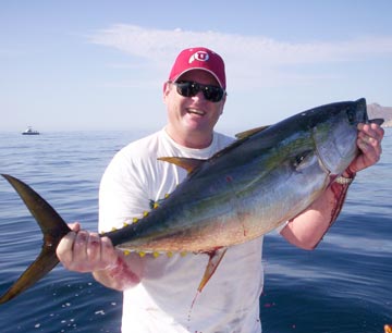 Tuna fishing, East Cape, Mexico.