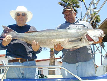 White seabass fishing at San Quintin, Mexico.