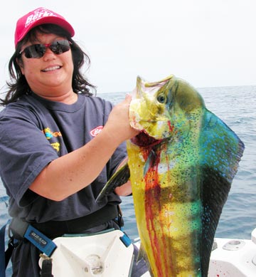 Mahi mahi fishing at Ensenada, Mexico.