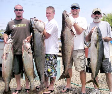 White seabass fishing at Ensenada, Mexico. 1