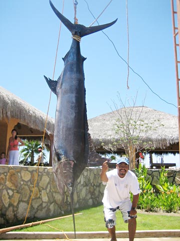 San Jose del Cabo, Mexico fishing photo 1