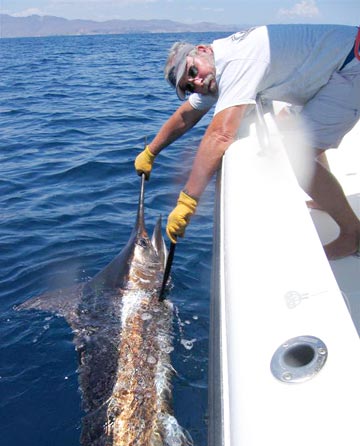 Loreto, Mexico fishing photo 2