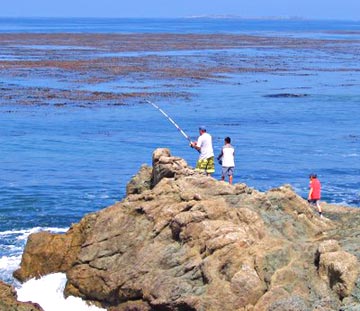 Baja, Mexico fishing photo 2