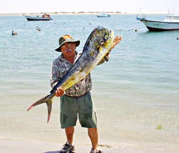 Baja, Mexico fishing photo 5