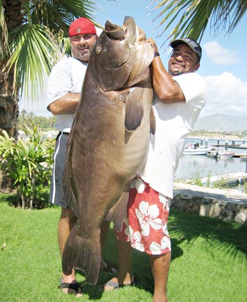 San Jose del Cabo, Mexico fishing photo 1