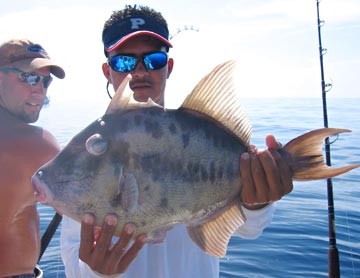 East Cape, Mexico fishing photo 6