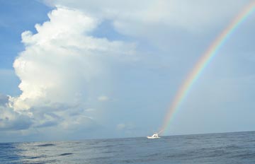 Puerto Vallarta, Mexico fishing photo 2