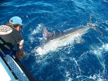 San Carlos, Mexico fishing photo 3