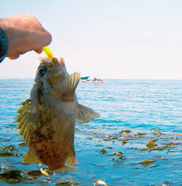 Puerto Santo Tomas, Mexico kayak fishing photo 3