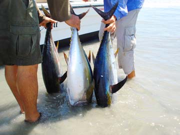 La Bocana, Mexico fishing photo 3