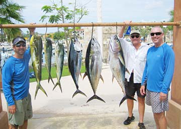 San Jose del Cabo, Mexico fishing photo 1