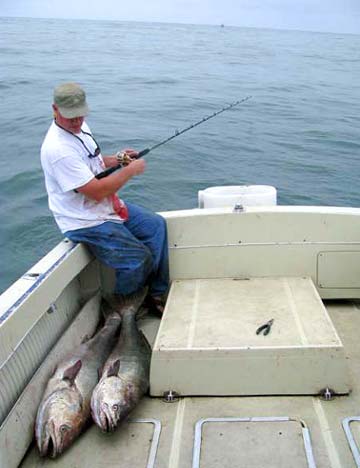 San Quintin, Mexico fishing photo 1