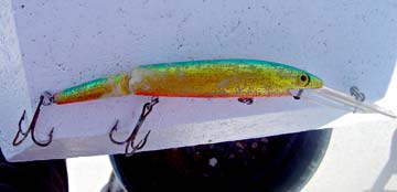 Baja Jointed Rebel lure photo 1