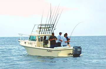 Ensenada, Mexico fishing photo 2