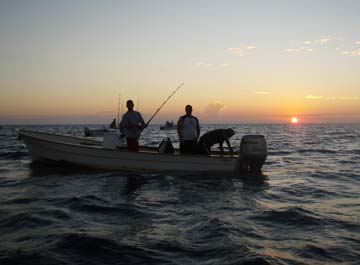 La Paz, Mexico fishing photo 2