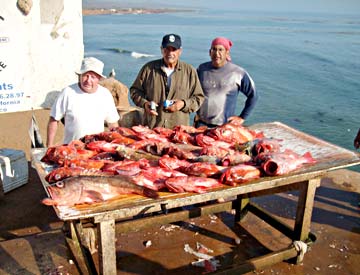 Erendira, Mexico fishing photo 1