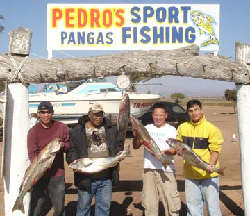 San Quintin, Mexico fishing photo 2