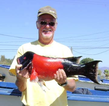 Ensenada, Mexico fishing photo 1