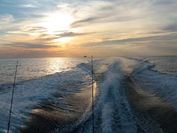 Puerto Vallarta, Mexico fishing photo 2