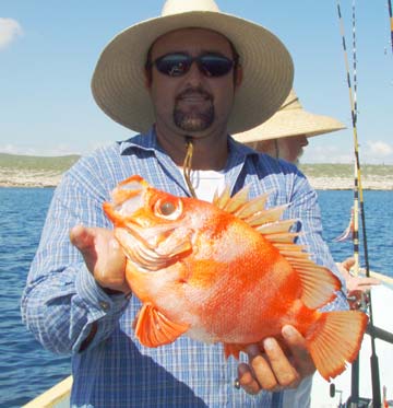 La Paz, Mexico fishing photo 2