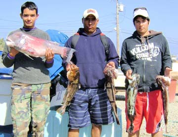 Ensenada, Mexico fishing photo 1