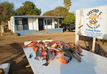 Baja California, Mexico fishing photo 2