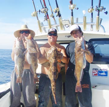 San Quintin lingcod 1