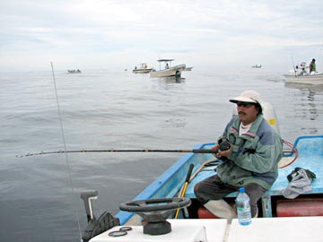 Baja Sea of Cortez coast