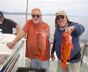 Baja coastal fishing aboard the Dominator 1