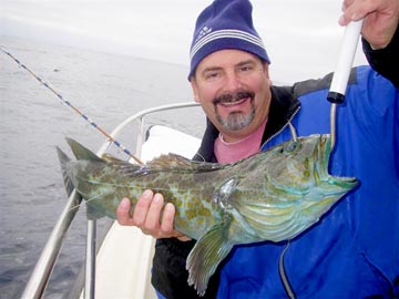 San Quintin lingcod