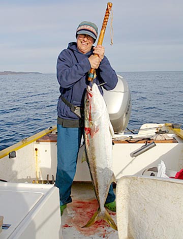 Winning yellowtail in Mulege fishing tournament.