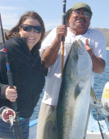 Yellowtail caught at Ensenada de los Muertos.